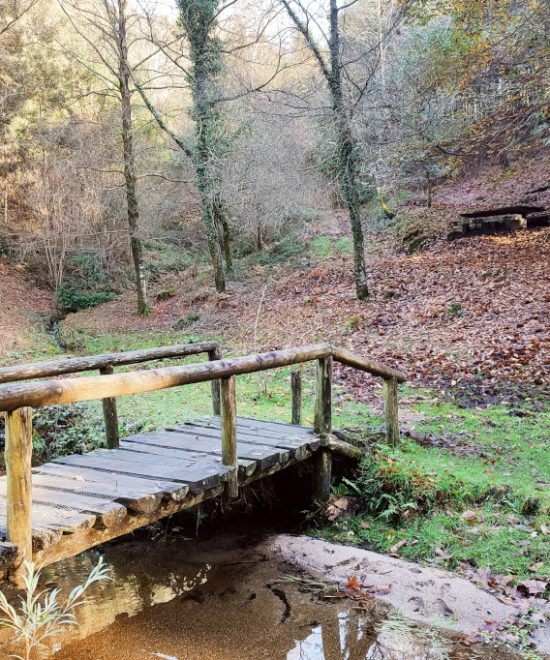 Ruta Alto da Cabaciña - Pozas de Cabanas