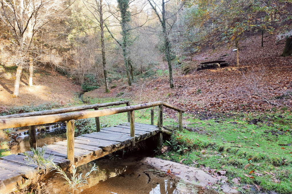 Ruta Alto da Cabaciña - Pozas de Cabanas