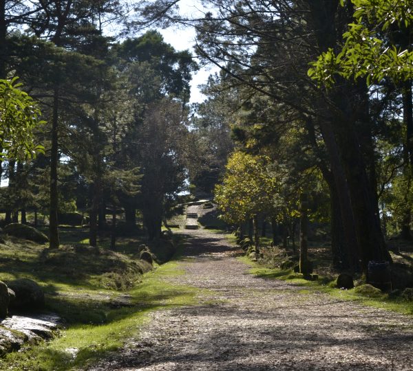 Naturaleza Galicia