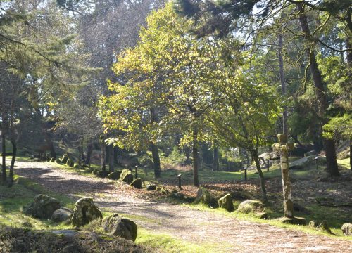 Subir al Monte Aloia