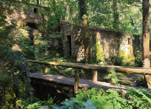 Molinos del Río Tripes