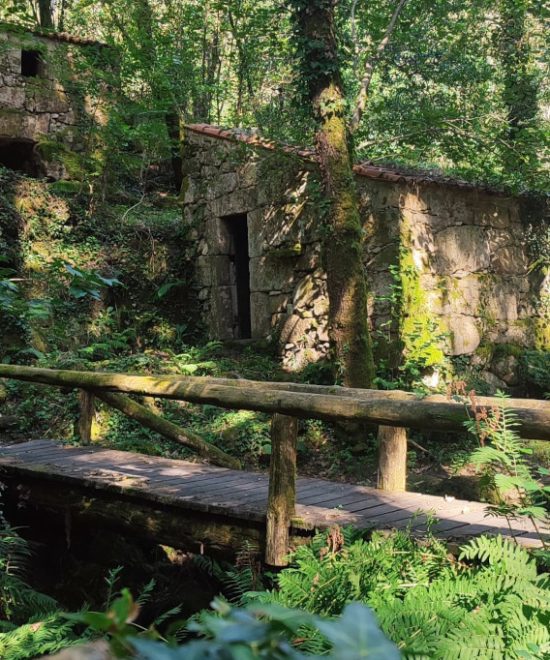 Molinos del Río Tripes