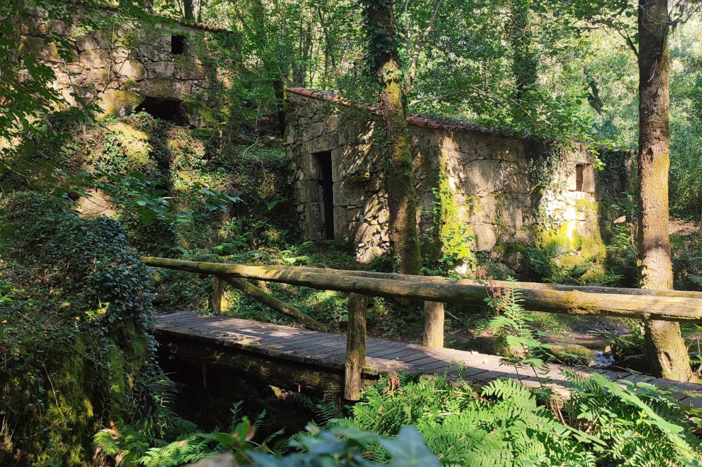 Molinos del Río Tripes