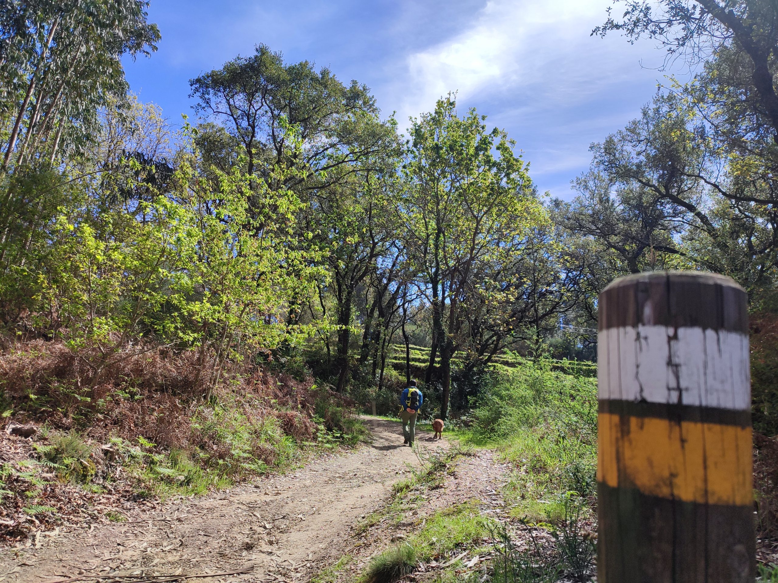 Naturaleza Galicia