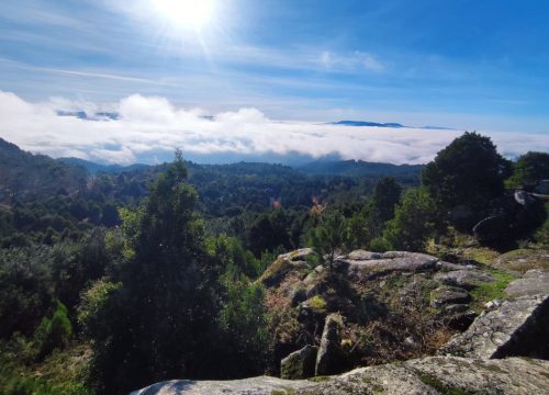 Subida al Monte Aloia
