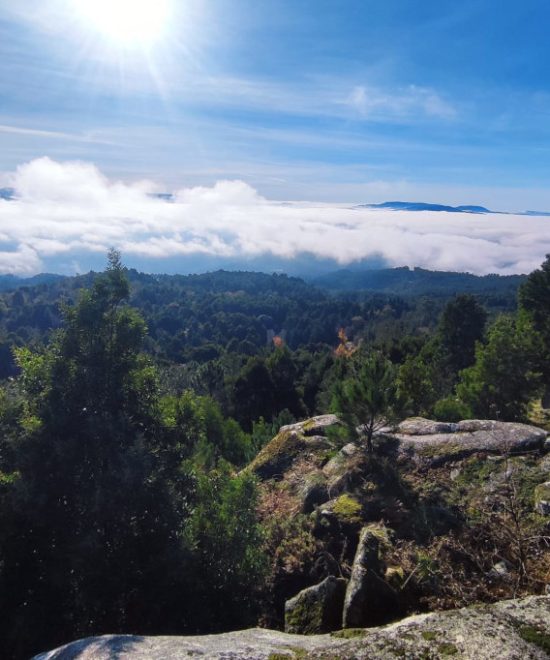 Subida al Monte Aloia